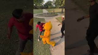 Teddy Bear Funny Video 
