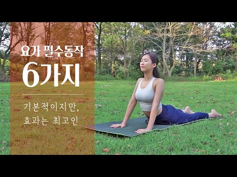 꼭 필요한 6가지 요가 동작 | 효과만점 기본 스트레칭, 기초요가 배우기