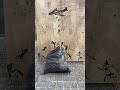 La montaña – urban art clip, street artist Barcelona, urban art Barcelona