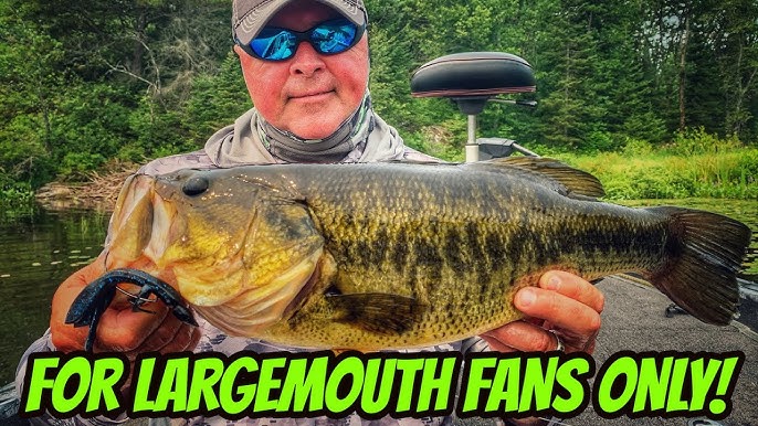 5 GREAT BAITS FOR BASS NOW! - Catching big bass across Northern Ontario 