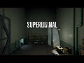 Getting Puzzled! / Superliminal