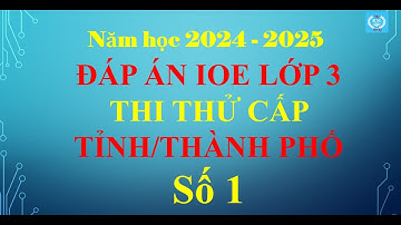 Đáp án IOE lớp 3 - Thi thử cấp Tỉnh/TP (Năm học 2024 - 2025)