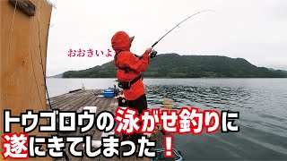 【驚愕】ロープにまとわりつく生物と格闘！トウゴロウの泳がせに釣りに遂に初物そして堤防・・・