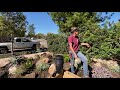 Succulent Front Yard Installation in 4S Ranch with Laura Eubanks Day 2