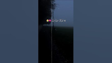 تلاوة خاشعة للشيخ ياسر الدوسري #قران_كريم #ياسر_الدوسري #yasseraldossary #قرآن