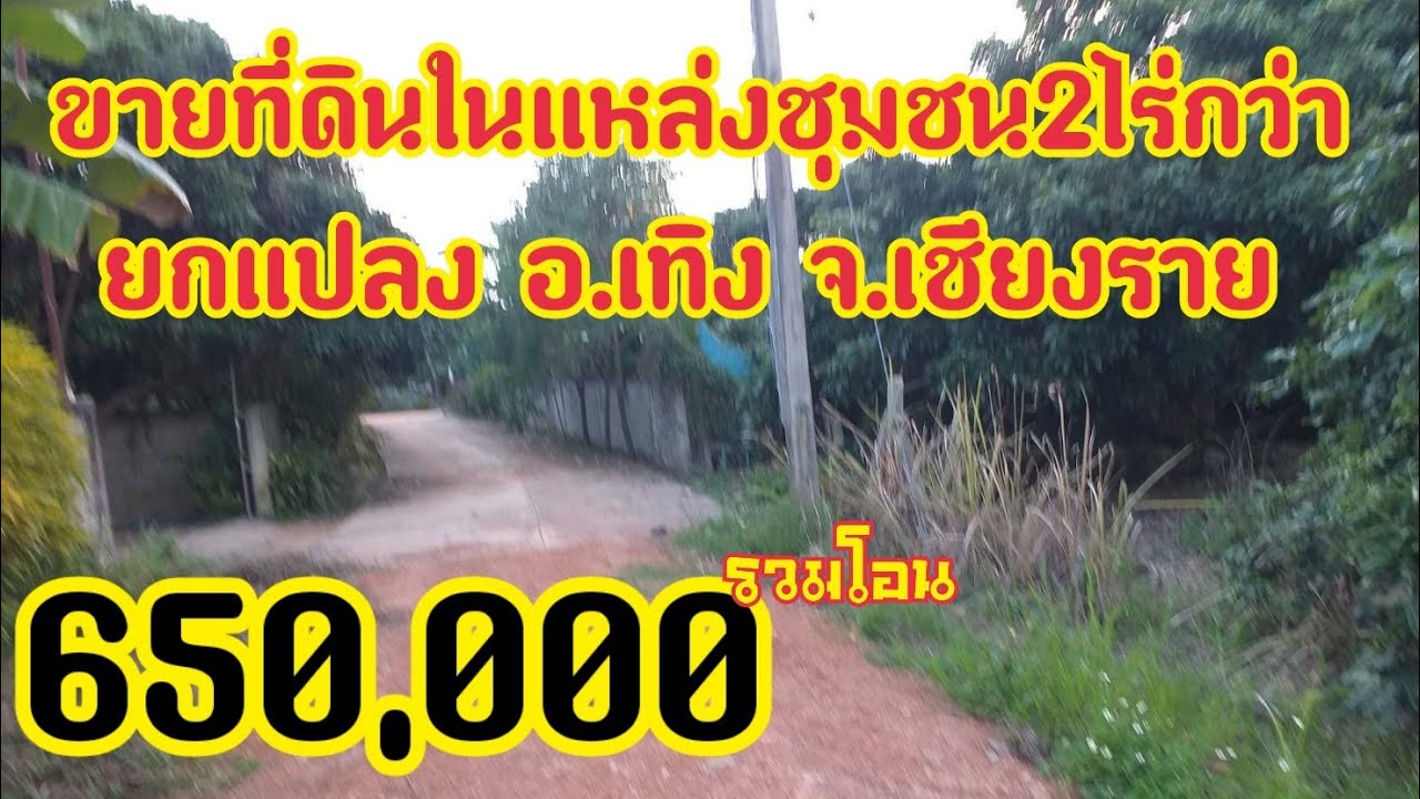 (ขายแล้ว)ep36ขายที่ดินยกแปลง650,000บาท เนื้อที่2ไร่1งาน92ตารางวา ที่อยู่ในแหล่งชุมชนน้ำประปาไฟฟ้าครบ