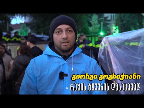 გიორგი გოგრიჭიანი რაჭის ტყეების დასაცავად