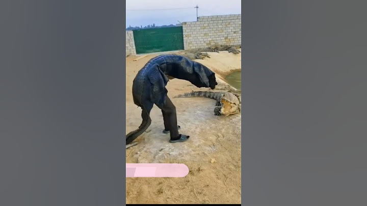 Rồi ai xấu hơn ai?🤣