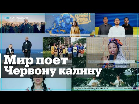 Музыканты из разных стран мира исполнили украинскую песню «Червона калина»