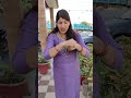 Snake 🐍 Ke Katne Per Bachne Ki Trick 🤔 #funny #shorts #viral #trending #shortsfeed #ytshorts #memes