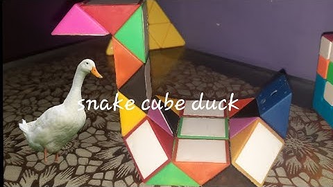 How to make a snake cube duck