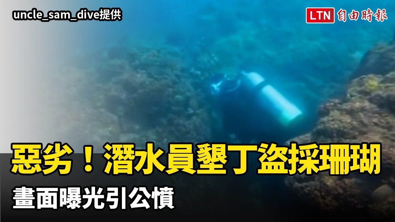 惡劣!潛水員墾丁盜採珊瑚 畫面曝光引公憤 惡劣!潛水員墾丁盜採珊瑚 畫面曝光引公憤