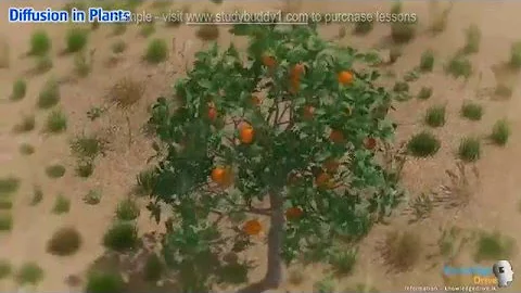 G9 2 1 2 Diffusion in Plants Sample