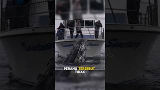 Kejadian Menegangkan di Laut #shorts #story #rojakchannel