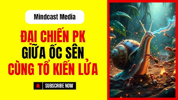 Ốc Sên PK Cùng Tổ Kiến Lửa - Các Thử Thách Với Ốc Sên || Mindcast Media