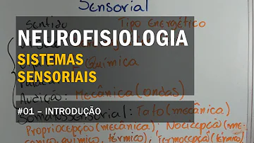 Para que serve o sensorial?