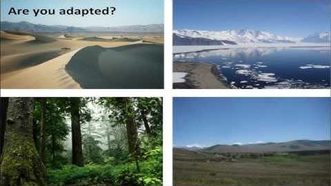 UNL SCICOMM 2015 - How Graduate Students Can Lead Evolution Outreach