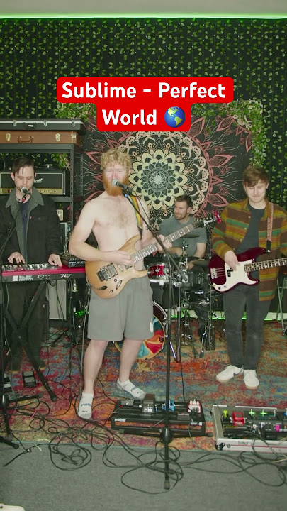 Sublime - Perfect World #sublime #band #cover #tribute #guitar #drums #bass #keys #coverband #viral