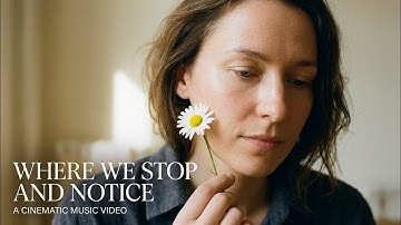 Where We Stop and Notice | A Cinematic Music Video | 4k