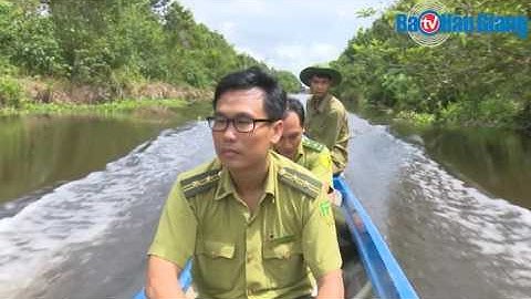 Thả Càng Đước gần 9 kg về rừng