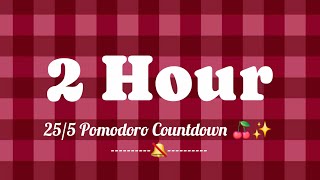 2 Hour Timer Pomodoro Cherry Red Gingham Print Pomodoro Aesthetic Study With Me Timer