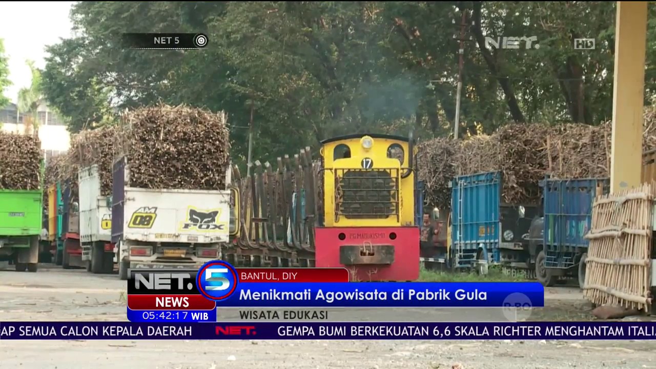Wisata Edukasi Tentang Proses Produksi Gula di Pabrik Wisata Edukasi Tentang Proses Produksi Gula di Pabrik