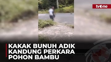 Tebang Pohon Bambu di Lahan Sengketa, Kakak-adik Berkelahi Hingga Tewas