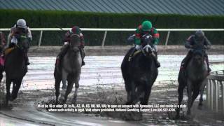 Gulfstream Park Replay Show | March 27, 2016