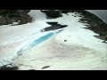 Glacier National Park 2 of 4 - Grizzly Bears