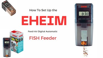Eheim Automatic Fish Feeder:How it Works and Setup Guide.
