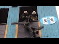 Соревнования по боевому развертыванию Новосибирского гарнизона пожарной охраны