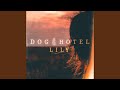 Dog Hotel - New Song “Lily”