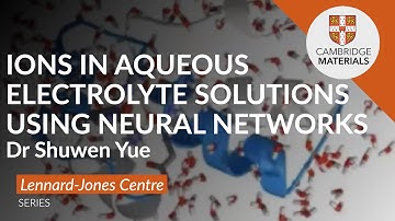 Ion effects in aqueous electrolyte solutions from ab initio derived neural network potentials