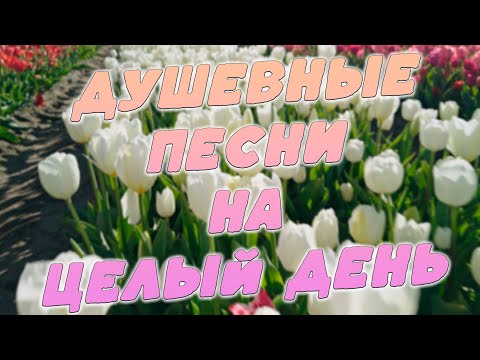 Заходи и Слушай! Здесь самые Любимые песни!