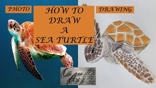 How To Draw A Sea Turtle Easy | Step By Step Drawing Tutorial