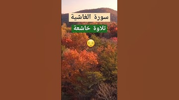 #سورة الغاشية #sourat #تلاوة_خاشعة #اكسبلور #دعاء #تيك_توك #التوفيق #ترند #لايك #duet #دويتو #quran