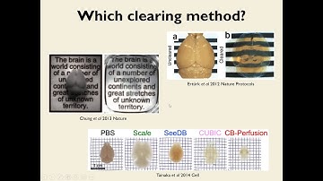 Light-sheet microscopy