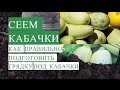 Посадка Кабачков. Как Правильно Подготовить Грядку для Кабачков.