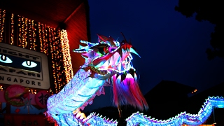 Singapore Night SAFARI Dragon Dance - Rooster in the Roo-Nar New Year