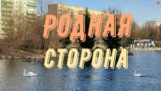 / Родная сторона / или жизнь на Ангарских прудах весной