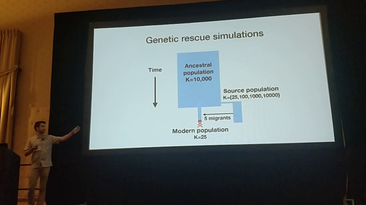 Kyriazis: Purge, perish, or rescue: Modeling inbreeding depression and extinction