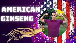 Benefits of American Ginseng  The Homegrown Super Adaptogen