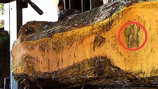 this wood is like a treasure from the forest || the profit makes the boss addicted