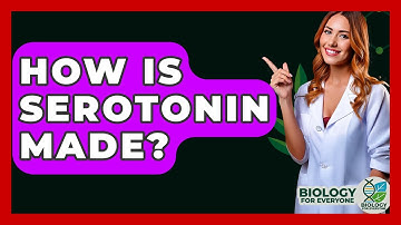 How Is Serotonin Made? - Biology For Everyone