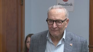 Some congressional Democrats are calling for Chuck Schumer to step down as minority leader