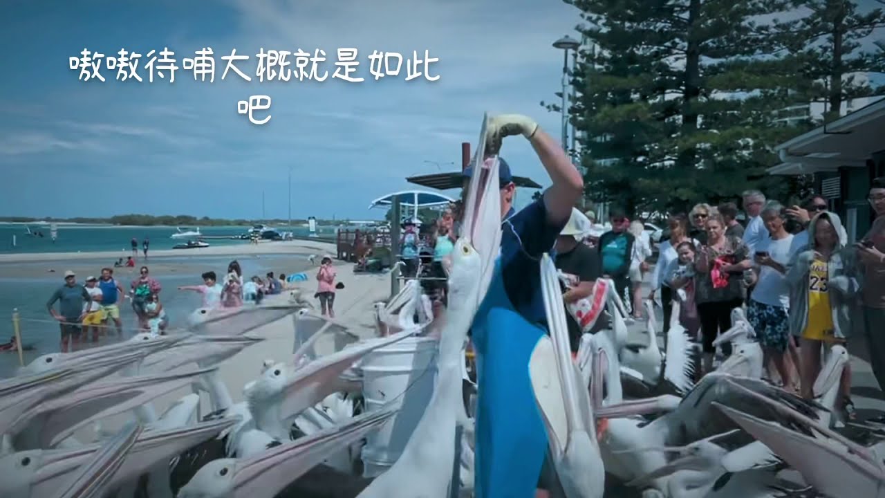 黄金海岸自助游攻略 超实用哦