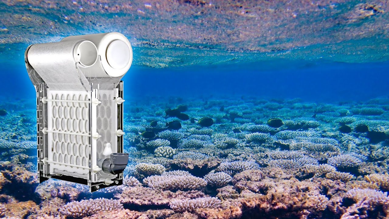Make Your Aquarium Crystal Clear with the ClariSea Automatic