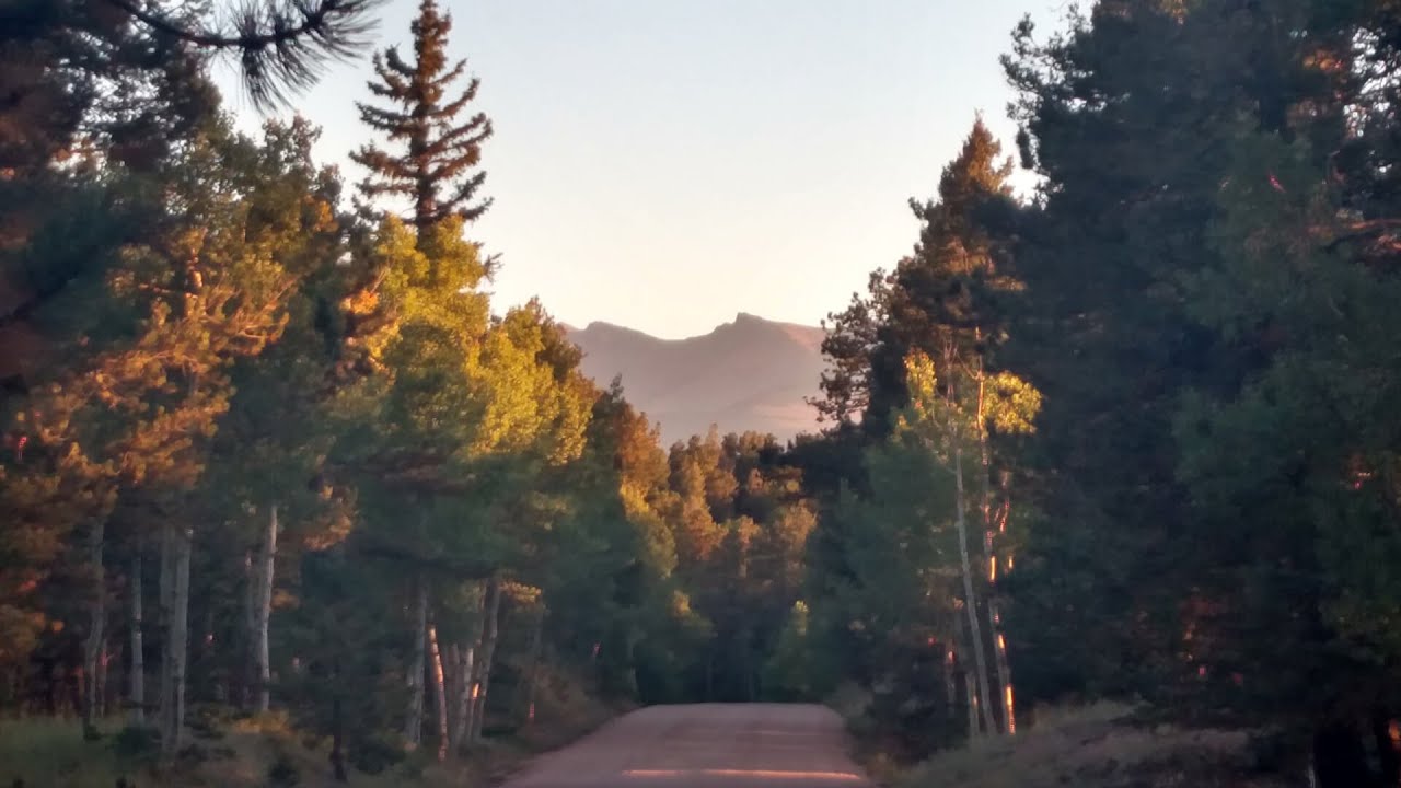 prophecy harry potter Camping - Pike National Forest, CO