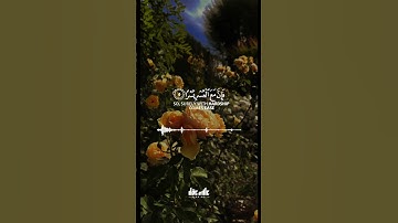 #سورة الشرح القارئ علاء عقل