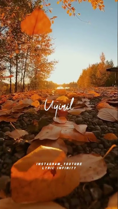 En nenjodu rasithen🧡 yuvan song 🧡 full screen HD WhatsApp status